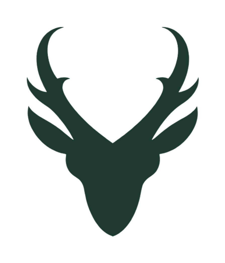 Pronghorn